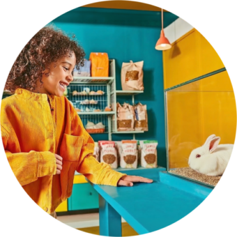 Jong meisje in de dierenwinkel kijkt naar een konijn